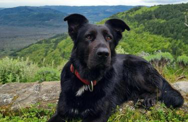 Apartman CASA MARŠIĆ - Foto 23