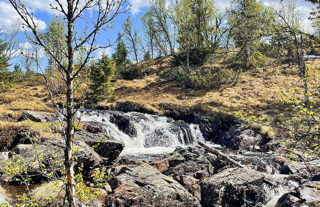 10 Person Holiday Home in Nesbyen-by Traum - Photo 24