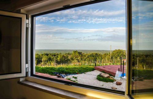 Moinho da Barragem de Montargil - Foto 8