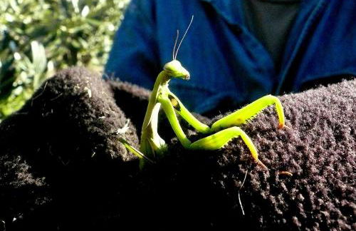 Poggio Magginga - Foto 36