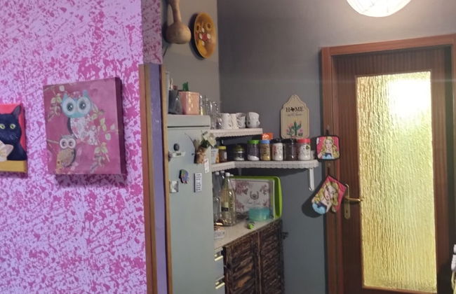 Apartment Dario Šolta - Foto 7