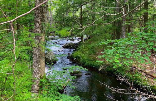 Luxury Farm Stay-Bonds Corner Bungalow-Wolf Pine Hollow - Foto 49