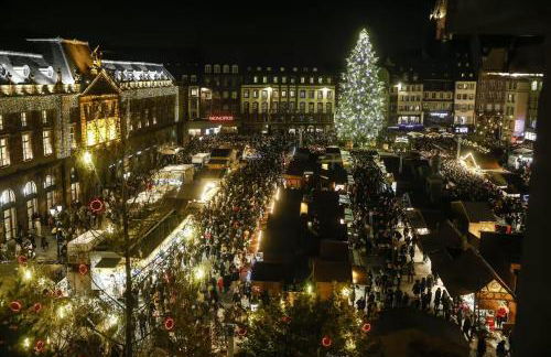 Appartement cosy, calme et lumineux à Strasbourg - Foto 17
