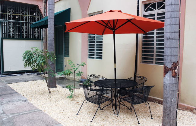 Gladiolas 1101 - Foto 14