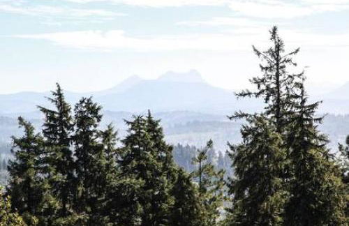 Historic Astoria Waterfront Views Vintage Vibes - Foto 32