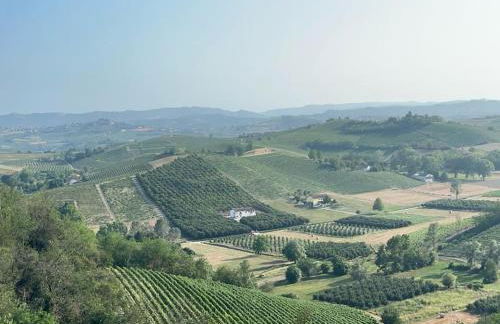 Cà d'Rita Monferrato - Barbera idromassaggio e piscina esterni - Foto 41