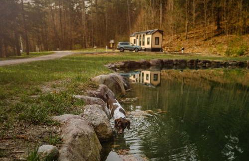 Thistle House at Camp Greenwood Vermont with Sauna - Foto 37