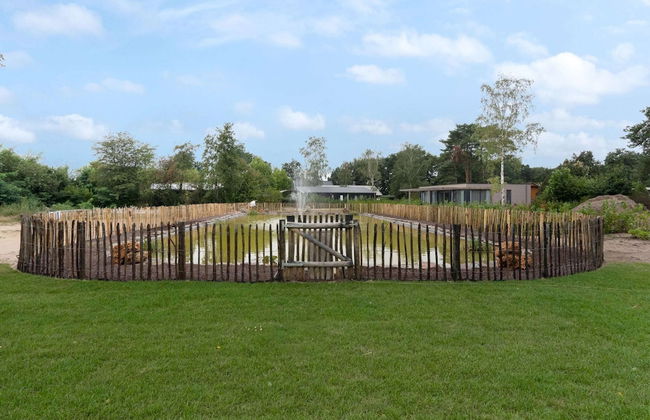 Nice House with two Bathrooms near Baarle-Nassau - Foto 19