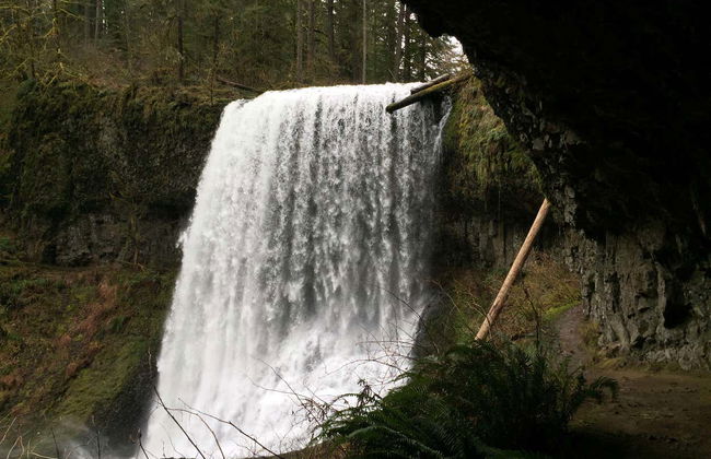 Excursión al Parque Estatal Silver Falls - Foto 6