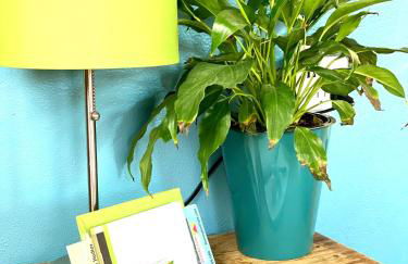 Remington Flats - Foto 36