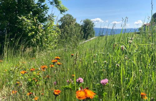 LICHTECK - Helle Ferien - Foto 17