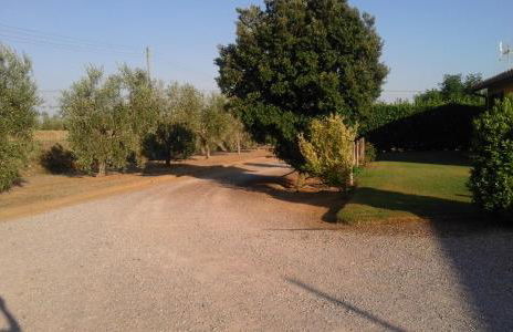 Monolocale con giardino - Foto 3