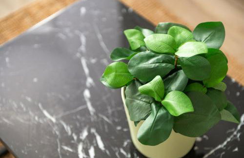 Apartments of Penzance - Foto 25