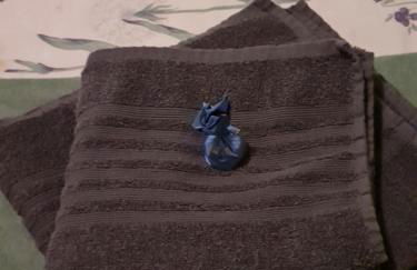 Haus Fernblick - Foto 15