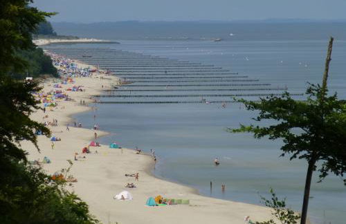 Alter Schulgarten - Foto 30