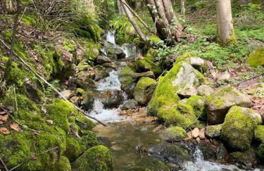Chalet entier, vue panoramique, ruisseau et sauna. - Foto 33