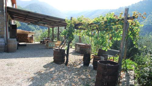 Il Frantoio, Loft rurale, con bbq e giardino in Pontifogno - Foto 4, Garden, Garden view