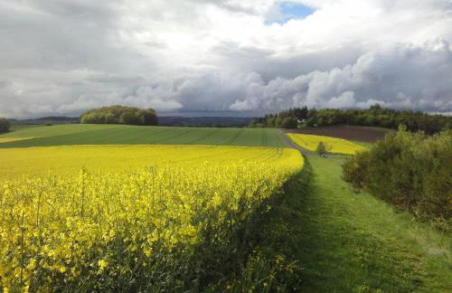 Holiday Home Moselle With Private Sauna - Foto 26