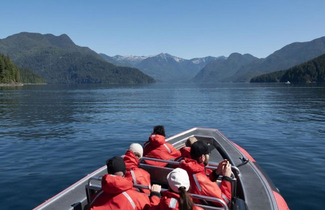 4 Hour Whale and Wildlife Boat Tour - Foto 17