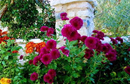 Finnish wooden house for 2 people - Foto 6