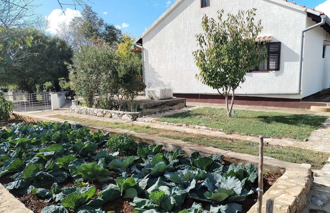 Holiday Home Višnja with Pool - Foto 21