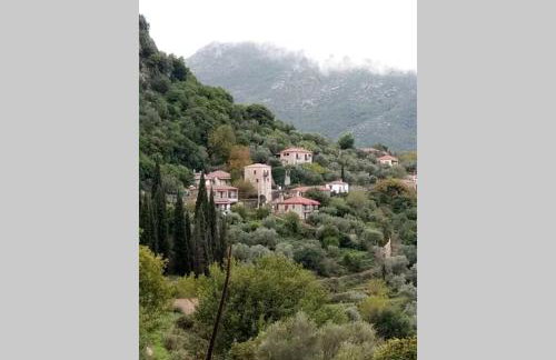 Levantes Mansion - Photo 4