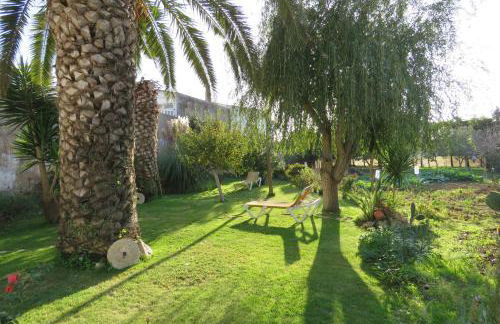 Casa do Quintalão - Foto 50