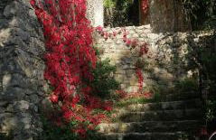 Gite des Gorges de l'Ardèche - Foto 22