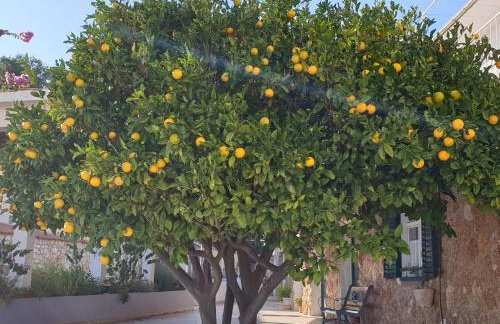 209 Zavala Ferienwohnung - Foto 49