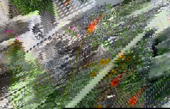 Holiday home Slade - In Ston - Foto 20