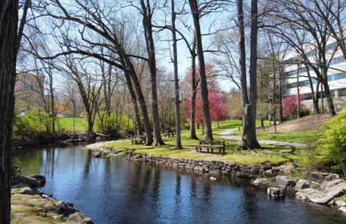 Entire House Right In Stamford's Heart - Foto 50