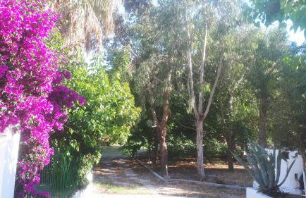 Villa Dunes 350m from the sandy beach - Foto 69