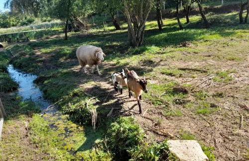 Quinta Da Bolota double room - Foto 26
