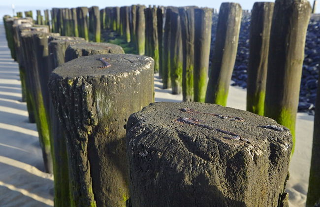 Snug Holiday Home in Nieuwvliet near Beach & Nature Reserve - Foto 26