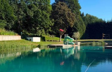Ferienwohnung Paradiso,78141Schönwald,Schwarzwald,1100mÜM Taunusstrasse 19f, mit Pool und Sauna - Photo 58