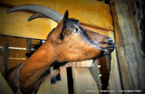 Agriturismo Slowcanda - Foto 8