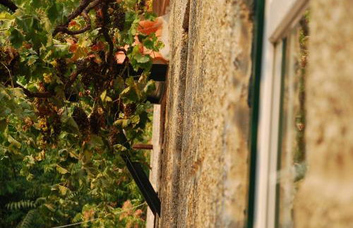 Refúgio de Calheiros - Foto 6