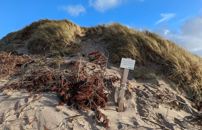 6 Person Holiday Home in Ulfborg - Foto 8