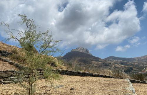 Alonaki Tinos Rental Cottage house - Foto 48