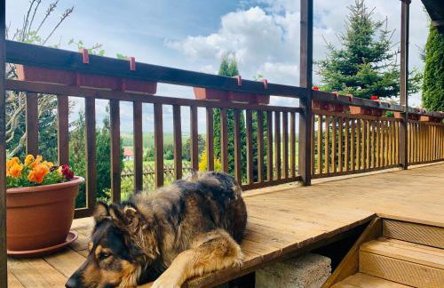 Siedlisko Wiłkupie, Dom na wzgórzu - Foto 56