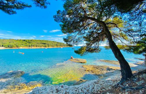 NOEL - three bedroom apartment with pool - Foto 60