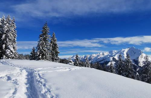 Maison entre lac et montagnes - Foto 23