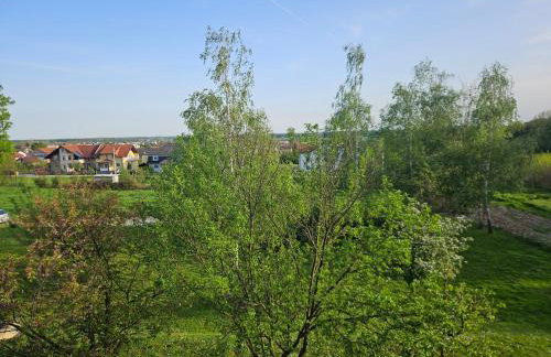 Apartman MAGDALENA - Foto 25