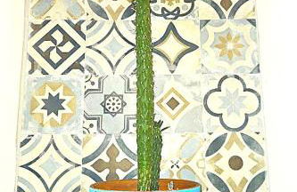 La Casa Felice - Foto 19