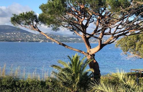 Villa CARIOCA St Tropez - Foto 10