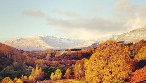 The Bakehouse - by Where Stags Roar - Foto 5