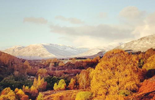 The Bakehouse - by Where Stags Roar - Foto 5