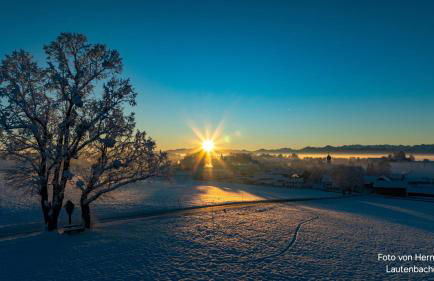 Ferienwohnung Alpenblick - Foto 17