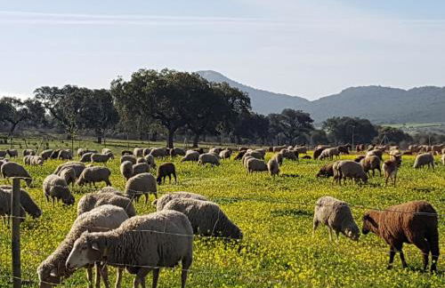 Finca La Rinconada - Foto 37