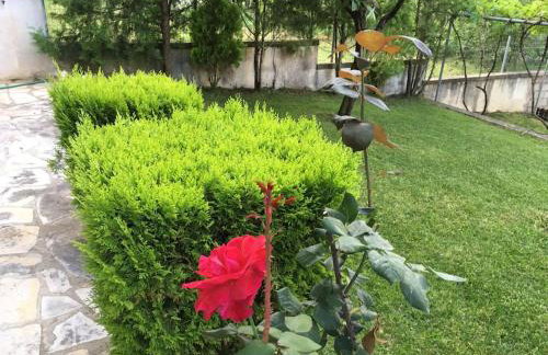 WOODEN HOUSE IN IOANNINA - Foto 42